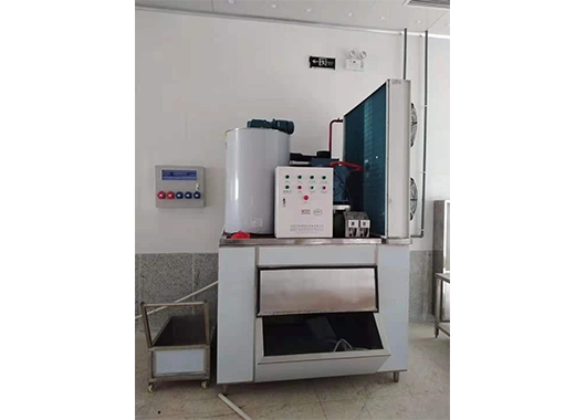 Case of a 2 ton flake ice machine in a food factory in Hunan